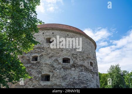 Tour Fat Margaret - Tallinn, Estonie Banque D'Images