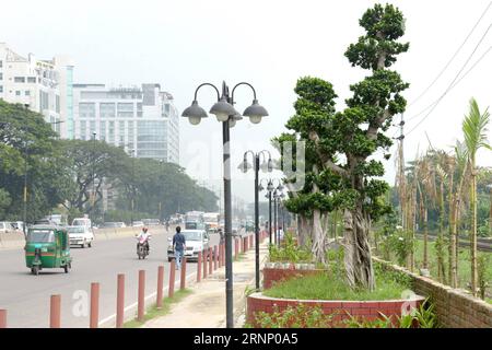 (170803) -- DHAKA, 3 août 2017 -- la photo prise le 3 août 2017 montre des bonsaïs chinois plantés à Dhaka, capitale du Bangladesh. Le Bangladesh a importé des dizaines de ficus bonsaïs de Chine et les a plantés le long d une route principale menant au principal aéroport du pays dans la capitale. (lrz) BANGLADESH-DHAKA-CHINESE-BONSAI SalimxReza PUBLICATIONxNOTxINxCHN Dhaka août 3 2017 la photo prise LE 3 2017 août montre des bonsaïs chinois plantés à Dhaka capitale du Bangladesh le Bangladesh a importé des dizaines de bonsaïs Ficus de Chine et LES a plantés le long d'une route principale menant au comte Banque D'Images