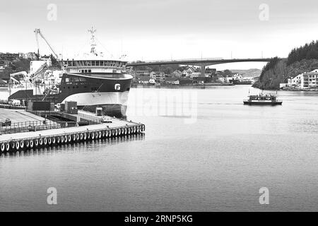 Photo en noir et blanc de la capacité de soute à cargaison GASO ODIN 4500 CBM, qui a à la fois des capacités de pêche et de manutention de poissons vivants. Kristiansund, Norvège Banque D'Images