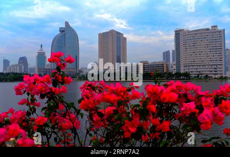 (170814) -- BEIJING, 14 août 2017 -- une photo de dossier prise le 24 mai 2017 montre des fleurs de Bougainvilliers dans la ville de Xiamen, dans la province du Fujian du sud-est de la Chine. Les bougainvilliers sont originaires du Brésil et sont devenus la fleur de la ville de Xiamen en 1986. (gj) (SOMMET DE XIAMEN)BRICS-FLEURS WeixPeiquan PUBLICATIONxNOTxINxCHN 170814 Pékin août 14 2017 fichier photo prise LE 24 2017 mai montre fleurs de Bougainvillea dans la ville de Xiamen du Sud-est de la Chine S Fujian province de Bougainvillea ce qui est originaire du Brésil et est devenu la ville fleur de Xiamen 1986 GJ Xiamen Sommet BRICS fleurs de Xiamen fleurs BRICS WeixPeiquan PUBLICATIO Banque D'Images
