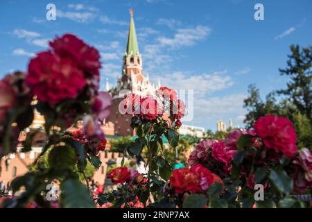 (170814) -- PÉKIN, 14 août 2017 -- une photo prise le 19 juillet 2017 montre des fleurs en fleurs devant le palais du Kremlin à Moscou, en Russie. (gj) (XIAMEN SUMMIT)BRICS-FLEURS WuxZhuang PUBLICATIONxNOTxINxCHN 170814 Pékin août 14 2017 fichier photo prise LE 19 2017 juillet montre des fleurs devant le palais DU KREMLIN à Moscou Russie GJ Xiamen Summit BRICS fleurs WuxZhuang PUBLICATIONxNOTxINxCHN Banque D'Images