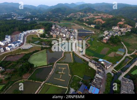 (170816) -- GANZHOU, 16 août 2017 -- le village de Gufang est vu dans le township de Wenwuba du comté de Huichang, ville de Ganzhou, province de Jiangxi dans l'est de la Chine, le 27 juillet 2017. Depuis 2016, les autorités locales du village de Gufang prennent des mesures ciblées pour lutter contre la pauvreté. Les infrastructures, telles que les routes, les maisons et les lampes solaires, ont été construites et de nouvelles industries ont été introduites dans le village, ce qui a radicalement changé le village. Les étangs à poissons, les serres ainsi que les vergers ont stimulé l'économie agricole locale. L'amélioration de l'environnement dans le village a également attiré de nombreux travailleurs migrants à venir Banque D'Images