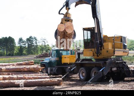 (170819) -- TORONTO (CANADA), le 19 août 2017 -- les grumes sont levées pour le transport chez un fabricant de bois de la Murray Brothers Lumber Company, en Ontario, au Canada, le 16 août 2017. Les États-Unis ont ouvert mercredi la renégociation de l’Accord de libre-échange nord-américain (ALENA), vieux de 23 ans, avec une déclaration selon laquelle ils veulent des changements majeurs à l’accord qui modifient la balance commerciale. Toutefois, les propriétaires d’entreprises canadiennes espèrent que les négociateurs américains seront réceptifs au maintien, sinon à l’amélioration, de la circulation actuelle des marchandises et des travailleurs à la frontière. Les querelles sur le bois d'oeuvre résineux ont été un répit Banque D'Images