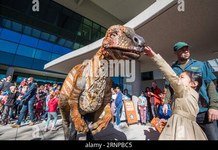 (170820) -- CANBERRA, août 20,2017 -- Un dinosaure de simulation attire l'attention des visiteurs dans Geoscience Australia lors de la Geoscience Open Day à Canberra, Australie, le 20 août 2017. )(gl) AUSTRALIA-CANBERRA-GEOSCIENCE JustinxQian PUBLICATIONxNOTxINxCHN Canberra 20 2017 août un dinosaure de simulation attire l'attention des visiteurs en géosciences Australia LORS de la Journée portes ouvertes géosciences à Canberra Australia LE 20 2017 août GL Australia Canberra Geoscience JustinxQian PUBLICATIONxNOTxINxCHN Banque D'Images