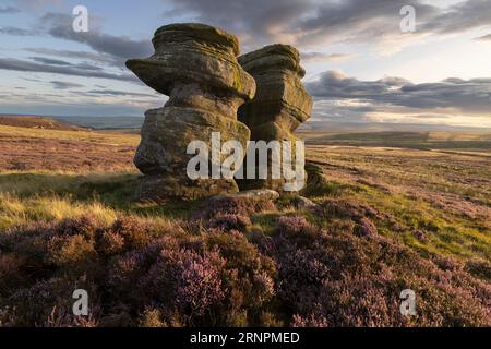 Jenny Twigg et sa fille Tibb, formations rocheuses sur Fountains Earth Moor, Sypeland, surplombant la vallée de Nidd, près de Lofthouse, Nidderdale, North y Banque D'Images