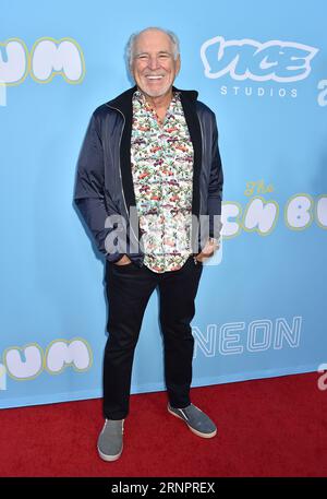 Hollywood, États-Unis. 02 septembre 2023. Le chanteur et compositeur légendaire Jimmy Buffett est décédé le 1 septembre à l'âge de 76 ans après avoir lutté contre des problèmes de santé non divulgués depuis 2022. L’icône « Margaritaville » est morte paisiblement entourée de sa famille, de ses amis, de sa musique et de ses chiens, selon un communiqué publié sur ses comptes de médias sociaux. ------------------------------------------------- Jimmy Buffett à la première de Los Angeles pour NEON et VICE STUDIO 'The Beach Bum' qui s'est tenue à ArcLight Hollywood le 28 mars 2019 à Hollywood, Californie. © Tammie Arroyo/AFF-USA.COM crédit : AFF/Alamy Live News Banque D'Images