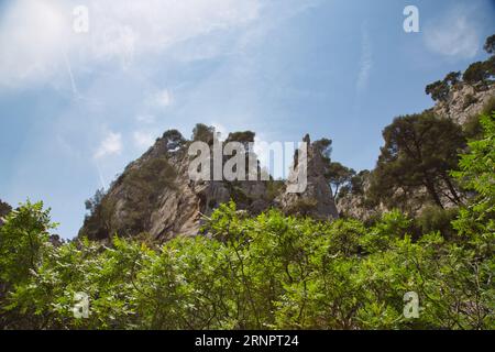 les calanques (france) avec leurs rochers impressionnants, leurs plantes et leur eau cristalline Banque D'Images