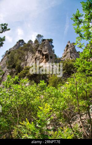 les calanques (france) avec leurs rochers impressionnants, leurs plantes et leur eau cristalline Banque D'Images