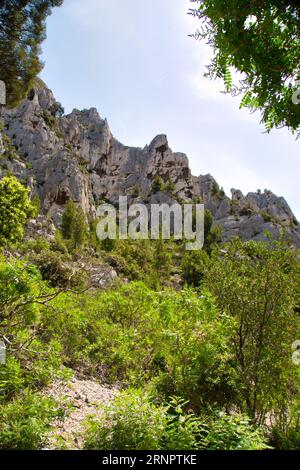 les calanques (france) avec leurs rochers impressionnants, leurs plantes et leur eau cristalline Banque D'Images