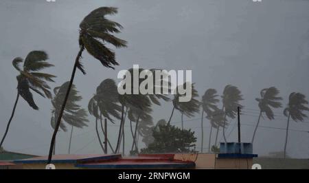 (170909) -- CAMAGUEY, 9 septembre 2017 -- les palmiers font de la contrebande contre le vent sur la plage Santa Lucia à Camaguey à Cuba le 8 septembre 2017. L ouragan Irma a continué de frapper la côte nord-est de Cuba vendredi avec des vents et des vagues. ) (Da) (ce) ***MEILLEURE QUALITÉ DISPONIBLE*** CUBA-CAMAGUEY-HURRICANE IRMA str PUBLICATIONxNOTxINxCHN Banque D'Images