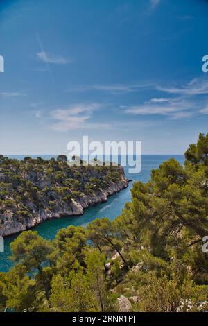 les calanques (france) avec leurs rochers impressionnants, leurs plantes et leur eau cristalline Banque D'Images