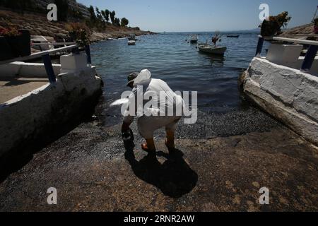 (170914) -- ATHÈNES, 14 septembre 2017 -- Un membre d'équipage spécialisé participe à une opération visant à nettoyer la marée noire des rives du Pirée, une banlieue sud-est d'Athènes, capitale de la Grèce, le 14 septembre 2017. Une importante opération de nettoyage qui était en cours jeudi pour faire face à une marée noire qui s'est propagée dans une grande partie du golfe Saronique durera environ trois semaines, a déclaré le ministre grec de la marine marchande Panagiotis Kouroumblis lors d'un point de presse. La crise environnementale a éclaté dimanche après le naufrage du petit pétrolier Agia Zoni II transportant environ 2 500 tonnes de pétrole, qui a été ancré au large Banque D'Images