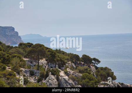 les calanques (france) avec leurs rochers impressionnants, leurs plantes et leur eau cristalline Banque D'Images