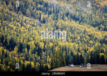 (170923) -- KANAS, 23 septembre 2017 -- la photo prise le 22 septembre 2017 montre le paysage automnal de la région pittoresque de Kanas dans la région autonome ouïgoure du Xinjiang du nord-ouest de la Chine.) (Ry) CHINA-XINJIANG-KANAS-AUTUMN SCENERY (CN) ZhaoxGe PUBLICATIONxNOTxINxCHN Banque D'Images