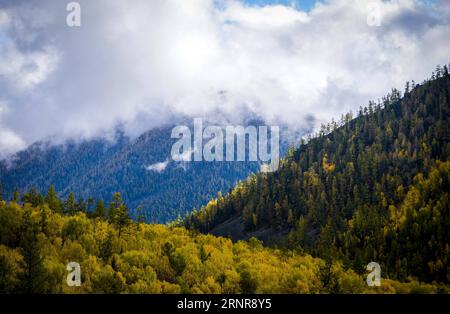 (170923) -- KANAS, 23 septembre 2017 -- la photo prise le 22 septembre 2017 montre le paysage automnal de la région pittoresque de Kanas dans la région autonome ouïgoure du Xinjiang du nord-ouest de la Chine.) (Ry) CHINA-XINJIANG-KANAS-AUTUMN SCENERY (CN) ZhaoxGe PUBLICATIONxNOTxINxCHN Banque D'Images