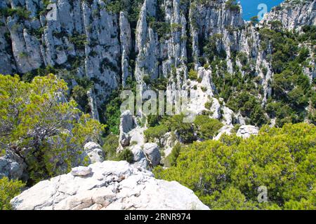 les calanques (france) avec leurs rochers impressionnants, leurs plantes et leur eau cristalline Banque D'Images