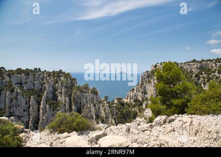 les calanques (france) avec leurs rochers impressionnants, leurs plantes et leur eau cristalline Banque D'Images