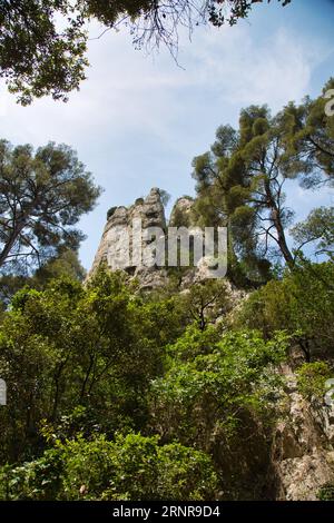 les calanques (france) avec leurs rochers impressionnants, leurs plantes et leur eau cristalline Banque D'Images