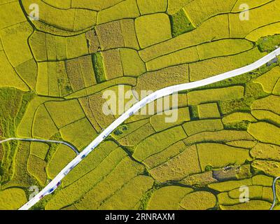 (170925) -- QIANDONGNAN, 25 septembre 2017 -- une photo prise le 24 septembre 2017 montre des rizières dans le canton de Gao po, dans le district de Huaxi de la ville de Guiyang, dans le sud-ouest de la Chine, dans la province du Guizhou. Comme l'automne arrive, la province de Guizhou est sur le point d'entrer dans sa saison de récolte de riz. ) (lx) CHINA-GUIZHOU-HARVEST (CN) WuxDongjun PUBLICATIONxNOTxINxCHN Banque D'Images