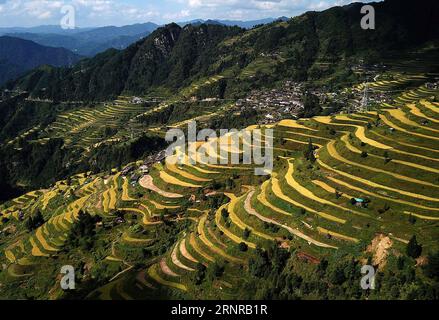 (170925) -- QIANDONGNAN, 25 septembre 2017 -- une photo prise le 24 septembre 2017 montre des champs en terrasses dans le village de Maniao, dans la ville de Paidiao, dans le comté de Danzhai, dans le sud-ouest de la Chine, dans la province du Guizhou. Comme l'automne arrive, la province de Guizhou est sur le point d'entrer dans sa saison de récolte de riz. ) (lx) CHINA-GUIZHOU-HARVEST (CN) HuangxXiaohai PUBLICATIONxNOTxINxCHN Banque D'Images