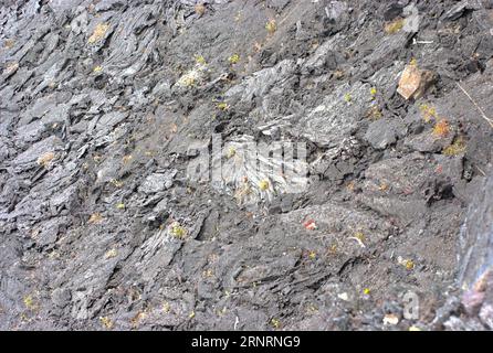 Gros plan de lave solidifiée, parc national des volcans d'Hawaï, îles d'Hawaï, États-Unis Banque D'Images