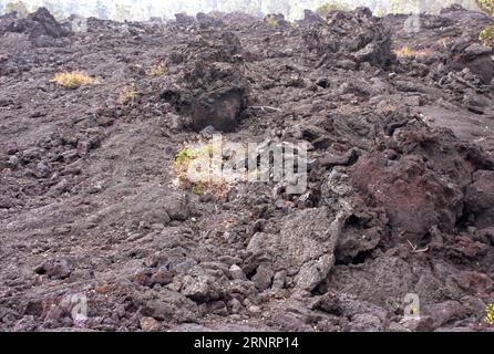 Gros plan de lave solidifiée, parc national des volcans d'Hawaï, îles d'Hawaï, États-Unis Banque D'Images