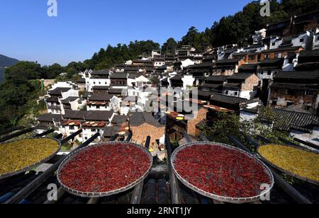 (171026) -- WUYUAN, 26 octobre 2017 -- les chrysanthèmes et les légumes sont séchés dans l'ancien village de Huangling à Wuyuan, dans la province du Jiangxi, dans l'est de la Chine, le 26 octobre 2017.) (Zwx) CHINE-JIANGXI-WUYUAN-RÉCOLTE D'AUTOMNE (CN) SongxZhenping PUBLICATIONxNOTxINxCHN Banque D'Images