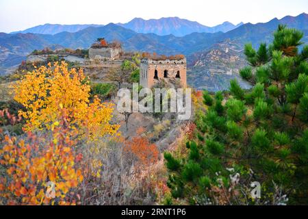 (171026) -- TANGSHAN, 26 octobre 2017 -- la photo prise le 26 octobre 2017 montre le paysage automnal de la Grande Muraille de Yumuling dans le comté de Qianxi de Tangshan, dans la province du Hebei du nord de la Chine.) (Zhs) CHINE-HEBEI-GRAND MUR-AUTOMNE (CN) MuxYu PUBLICATIONxNOTxINxCHN Banque D'Images