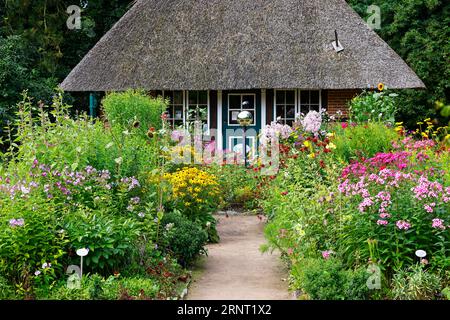 Jardin de ferme avec pavillon de chaume et variété colorée de fleurs d'été fleuries et de vivaces, telles que le phlox, le coneflower, le cosmea, indien Banque D'Images