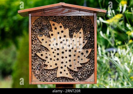 Petit hôtel d'abeilles sauvages, hôtel d'insectes, jardin botanique Hambourg, Allemagne Banque D'Images