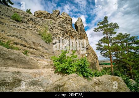 Formation rocheuse Drei Zinnen, aussi appelée Hamburger Wappen, Teufelsmauer près de Timmenrode, Harz Mountains, Saxe-Anhalt, Allemagne Banque D'Images