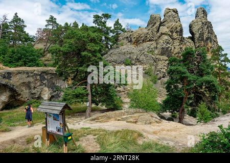 Formation rocheuse Drei Zinnen, aussi appelée Hamburger Wappen, Teufelsmauer près de Timmenrode, Harz Mountains, Saxe-Anhalt, Allemagne Banque D'Images