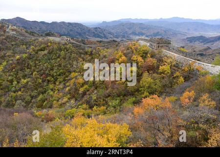 (171028) -- PÉKIN, 28 octobre 2017 -- une photo prise le 28 octobre 2017 montre le paysage automnal de la Grande Muraille de Mutianyu à Pékin, capitale de la Chine.) (zkr) CHINA-BEIJING-MUTIANYU GREAT WALL (CN) ChenxYehua PUBLICATIONxNOTxINxCHN Banque D'Images