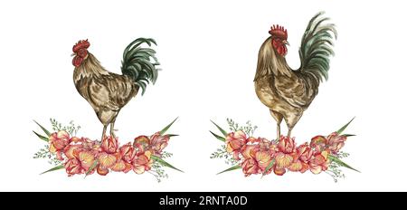 Composition de fleurs d'aquarelle et de coq. Illustration dessinée à la main d'une ferme. Parfait pour invitation de mariage, carte de voeux, affiches. Banque D'Images