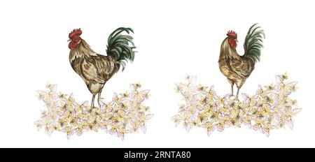 Composition de fleurs d'aquarelle et de coq. Illustration dessinée à la main d'une ferme. Parfait pour invitation de mariage, carte de voeux, affiches. Banque D'Images