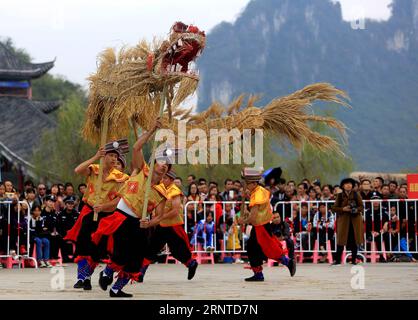 (171107) -- HECHI, 7 novembre 2017 -- les participants participent à un concours de danse du dragon sur gazon dans le comté autonome de Mulao de luocheng, dans la région autonome de Guangxi Zhuang, dans le sud de la Chine, le 6 novembre 2017. La population locale s'est réunie pour célébrer le traditionnel terme solaire du début de l'hiver, qui tombe le 7 novembre cette année. ) (Ry) CHINE-GUANGXI-LUOCHENG-HERBE DRAGON DANSE (CN) LongxTao PUBLICATIONxNOTxINxCHN Banque D'Images