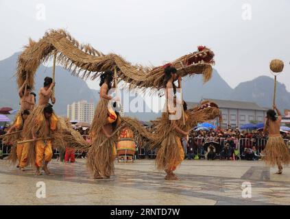 (171107) -- HECHI, 7 novembre 2017 -- les participants participent à un concours de danse du dragon sur gazon dans le comté autonome de Mulao de luocheng, dans la région autonome de Guangxi Zhuang, dans le sud de la Chine, le 6 novembre 2017. La population locale s'est réunie pour célébrer le traditionnel terme solaire du début de l'hiver, qui tombe le 7 novembre cette année. ) (Ry) CHINE-GUANGXI-LUOCHENG-HERBE DRAGON DANSE (CN) LongxTao PUBLICATIONxNOTxINxCHN Banque D'Images