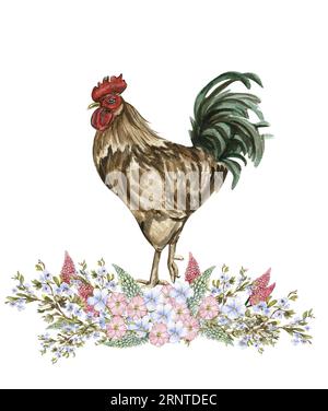 Composition de fleurs d'aquarelle et de coq. Illustration dessinée à la main d'une ferme. Parfait pour invitation de mariage, carte de voeux, affiches. Banque D'Images