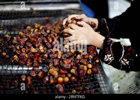 (171108) -- SIWA (ÉGYPTE), 8 novembre 2017 -- les dattes séchées sont collectées dans une usine de dattes à Siwa Oasis, à l'ouest du Caire, en Égypte, le 7 novembre 2017. En tant que zone agricole importante dans la culture des dattes, Siwa Oasis plante environ 700 000 palmiers qui produisent environ 84 000 tonnes de dattes par an.) ÉGYPTE-SIWA-AGRICULTURE-DATES AhmedxGomaa PUBLICATIONxNOTxINxCHN Banque D'Images