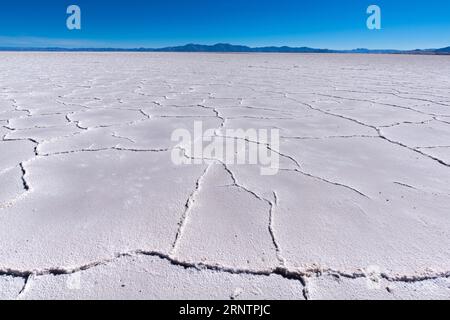 800 kilomètres carrés désert de sel Salinas grandes, poêle à sel, plaine, lithium, matière première, précieux, métal léger, chlorure de sodium, province de Jujuy, Argentine Banque D'Images