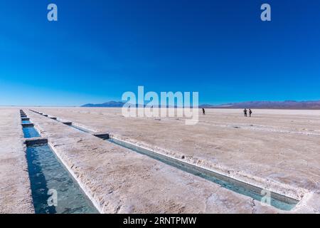 800 kilomètres carrés désert de sel Salinas grandes, poêle à sel, mines de sel, plaine, montagnes, lithium, matière première, précieux, métal léger, chlorure de sodium Banque D'Images