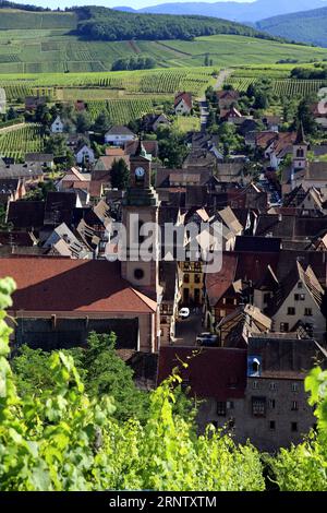 Vue aérienne du village et des vignes. Riquewihr, Haut-Rhin, France Banque D'Images