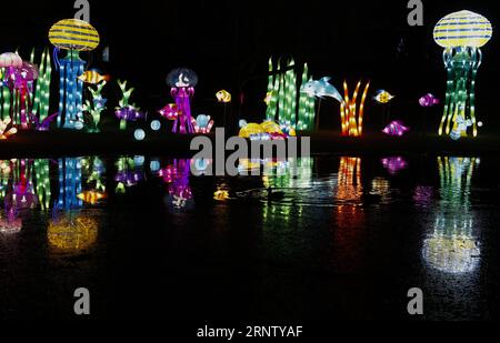 (171124) -- LONDRES, 24 novembre 2017 -- des installations lumineuses sont vues dans les jardins de Chiswick House lors de la cérémonie d'activation du Magical Lantern Festival à Londres, Grande-Bretagne, le 23 novembre 2017. Des centaines d’installations lumineuses faites à la main seront exposées du 24 novembre 2017 au 1 janvier 2018. )(yy) GRANDE-BRETAGNE-LONDRES-MAGIE LANTERNE FESTIVAL hanxyan PUBLICATIONxNOTxINxCHN Banque D'Images