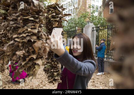 (171204) -- SHANGHAI, 4 décembre 2017 -- Une femme prend un selfie avec des œuvres d'art faites de feuilles tombées d'arbres phénix sur Yueyang Road à Shanghai, dans l'est de la Chine, 3 décembre 2017.) (Ry) CHINA-SHANGHAI-PHOENIX TREES (CN) DuxXiaoyi PUBLICATIONxNOTxINxCHN Banque D'Images