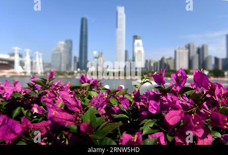 (171204) -- GUANGZHOU, 4 décembre 2017 -- la photo prise le 4 décembre 2017 montre un parterre à Guangzhou, dans la province du Guangdong, dans le sud de la Chine. Le Forum mondial Fortune 2017 se tiendra à Guangzhou du 6 au 8 décembre. ) (Lb) CHINA-GUANGDONG-GUANGZHOU-FORTUNE GLOBAL FORUM (CN) LuxHanxin PUBLICATIONxNOTxINxCHN Banque D'Images