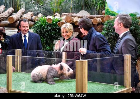 (171204) -- SAINT-AIGNAN (FRANCE), 4 décembre 2017 -- Brigitte Macron (2e L), épouse du président français Emmanuel Macron, regarde un bébé panda avant une cérémonie de baptême à Saint-Aignan, France, le 4 décembre 2017. Brigitte Macron, épouse du président français Emmanuel Macron, a révélé lundi le nom du bébé panda, le tout premier enfant né dans le pays, lors d'une cérémonie de nommage dans un zoo du centre de la France. Rejointe par des responsables chinois, Brigitte Macron, qui est aussi la marraine du nouveau panda, a annoncé que le nom de l enfant âgé de quatre mois était Yuan Meng. FRANCE-SAINT-AIGNAN-PANDA-CÉRÉMONIE DE NOMMAGE-YUAN Banque D'Images