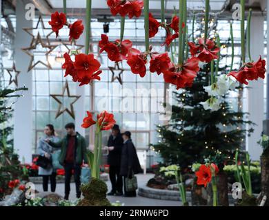 (171206) -- FRANCFORT, le 6 décembre 2017 -- les gens visitent l'exposition de Noël au Palm Garden de Francfort, Allemagne, le 5 décembre 2016.) (Zjy) ALLEMAGNE-FRANCFORT-NOËL EXPO LuoxHuanhuan PUBLICATIONxNOTxINxCHN Banque D'Images