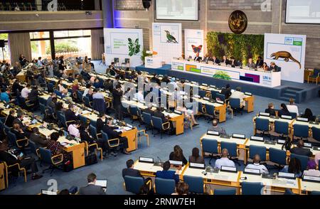 (171206) -- NAIROBI, 6 décembre 2017 -- une photo prise le 6 décembre 2017 montre la séance plénière de clôture de la troisième session de l'Assemblée des Nations Unies pour l'environnement (ANUE) à Nairobi, au Kenya. La troisième session de l'Assemblée des Nations Unies pour l'environnement (ANUE) s'est terminée mercredi à Nairobi, et les dirigeants se sont engagés à mettre fin à la pollution pour un environnement propre. KENYA-NAIROBI-ANUE-LA TROISIÈME SESSION-CONCLUSION LYUXSHUAI PUBLICATIONXNOTXINXCHN Banque D'Images