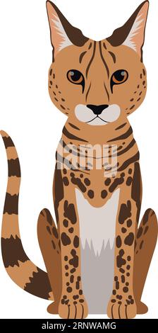 Chat Bengal. Animal de compagnie de dessin animé assis. Animal exotique Illustration de Vecteur