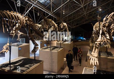 (171224) -- KUNMING, 24 décembre 2017 -- des touristes voient des fossiles de dinosaures dans la World Dinosaur Valley dans le comté de Lufeng, dans la province du Yunnan, au sud-ouest de la Chine, le 23 décembre 2017. La Lufeng World Dinosaur Valley, un parc à thème consacré aux dinosaures, exposait plus de 100 fossiles d'une variété de dinosaures. (Wyo) CHINA-YUNNAN-LUFENG-DINOSAUR PARK (CN) HuxChao PUBLICATIONxNOTxINxCHN Banque D'Images